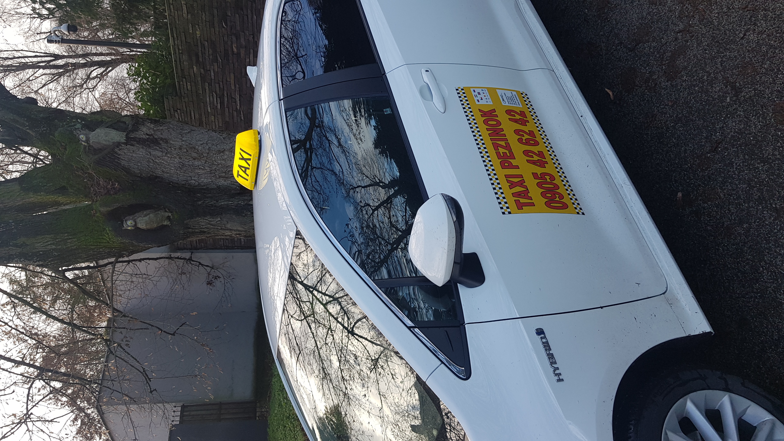 Biele taxi Toyota Corolla - Taxi Pezinok a okolie